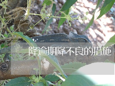 降逾期降不良的措施 降逾期降不良的措施