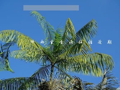降雨量查询征信逾期 降雨量查询征信逾期