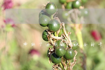 降额了逾期三两天会封卡吗