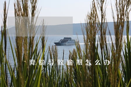 降额导致逾期怎么办 降额导致逾期怎么办