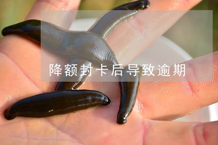 降额封卡后导致逾期 降额封卡后导致逾期