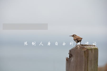 限制人身自由行政诉讼