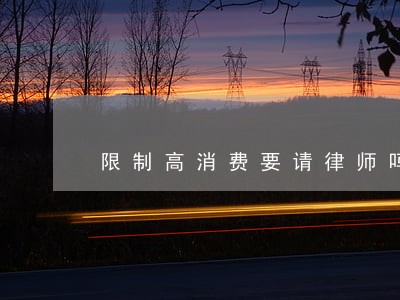限制高消费要请律师吗
