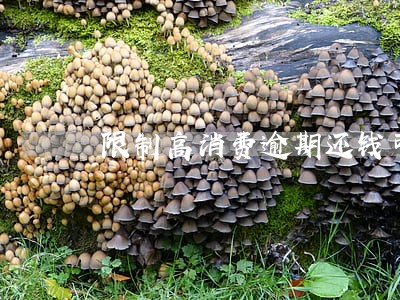 限制高消费逾期还钱可以吗 限制高消费逾期还钱可以吗