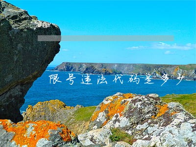 限号违法代码是多少 限号违法代码是多少