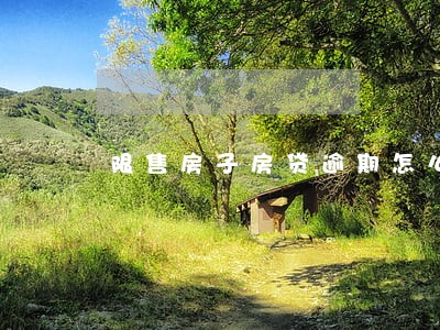 限售房子房贷逾期怎么解决 限售房子房贷逾期怎么解决