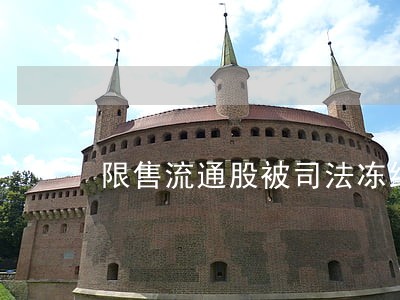 限售流通股被司法冻结 限售流通股被司法冻结