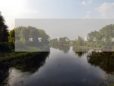 限墅令导致洋房交付逾期 限墅令导致洋房交付逾期
