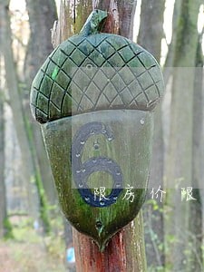 限房价限地价法律条文 限房价限地价法律条文