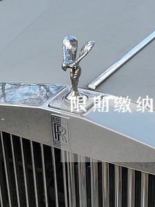 限期缴纳诉讼费