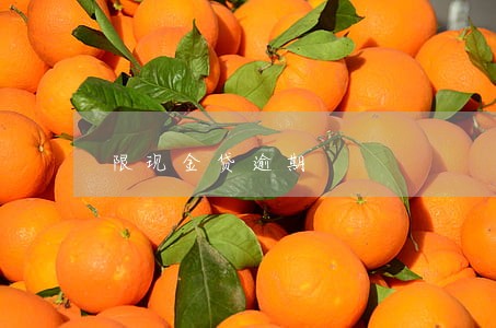 限现金贷逾期 限现金贷逾期