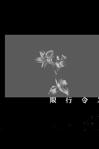 限行令发的失信逾期专属彩铃 限行令发的失信逾期专属彩铃