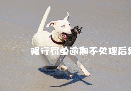 限行罚单逾期不处理后果 限行罚单逾期不处理后果