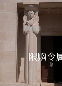 限购令属于经济法吗 限购令属于经济法吗