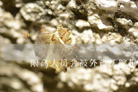 限高人员会被外省法院拘留吗 限高人员会被外省法院拘留吗