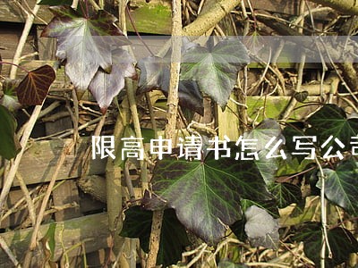 限高申请书怎么写公司法定代表人 限高申请书怎么写公司法定代表人