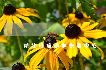 陕北征信逾期恢复中心 陕北征信逾期恢复中心