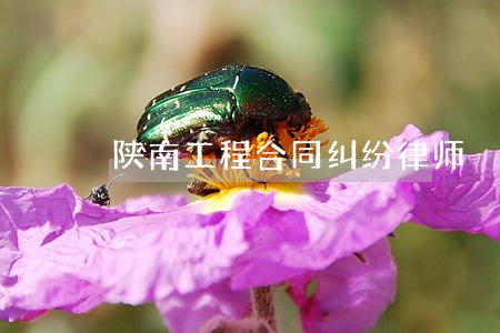 陕南工程合同纠纷律师 陕南工程合同纠纷律师