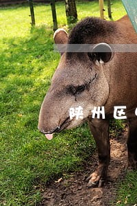 陕州区电信通讯在线律师咨询 陕州区电信通讯在线律师咨询