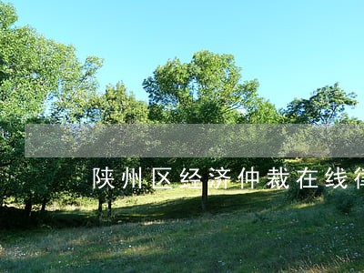 陕州区经济仲裁在线律师 陕州区经济仲裁在线律师