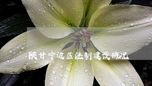 陕甘宁边区法制建设概况 陕甘宁边区法制建设概况