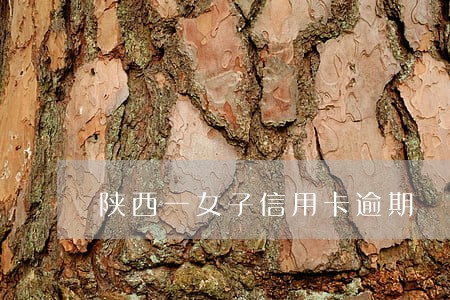 陕西一女子信用卡逾期