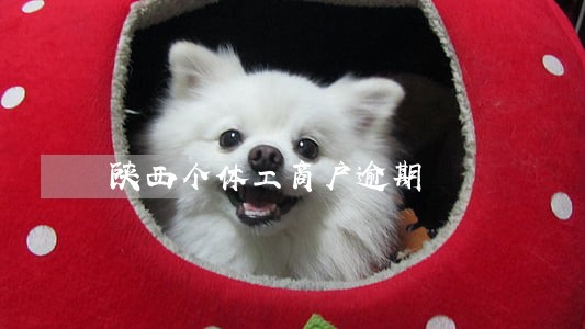 陕西个体工商户逾期 陕西个体工商户逾期