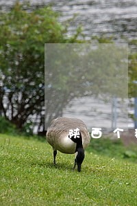 陕西个税申报逾期 陕西个税申报逾期