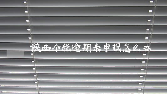 陕西个税逾期未申报怎么办 陕西个税逾期未申报怎么办