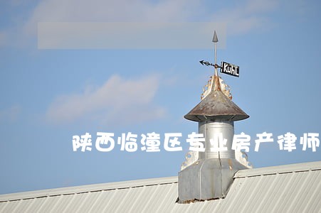陕西临潼区专业房产律师 陕西临潼区专业房产律师