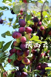 陕西云达律师事务所 陕西云达律师事务所
