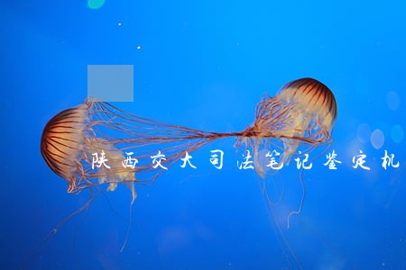 陕西交大司法笔记鉴定机构 陕西交大司法笔记鉴定机构