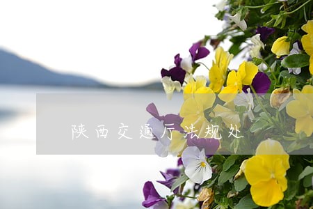 陕西交通厅法规处 陕西交通厅法规处