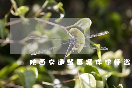陕西交通肇事案件律师咨询热线 陕西交通肇事案件律师咨询热线