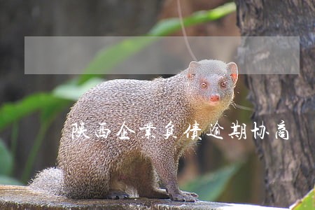 陕西企业负债逾期协商 陕西企业负债逾期协商