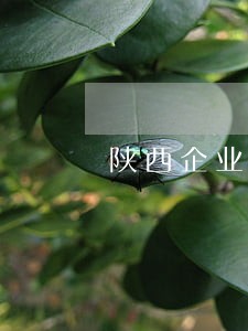 陕西企业负债逾期处理方法 陕西企业负债逾期处理方法