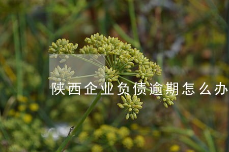 陕西企业负债逾期怎么办