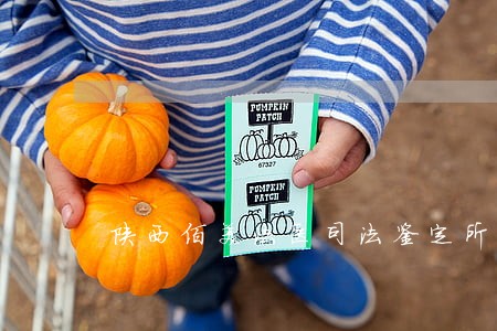 陕西佰美法医司法鉴定所电话 陕西佰美法医司法鉴定所电话