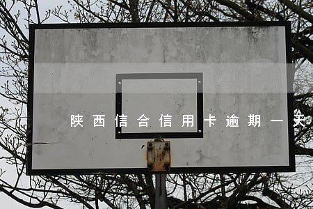 陕西信合信用卡逾期一天上征信 陕西信合信用卡逾期一天上征信