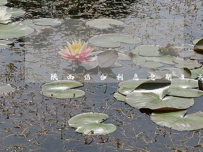 陕西信合利息逾期3天会咋样 陕西信合利息逾期3天会咋样