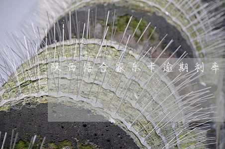陕西信合家乐卡逾期利率 陕西信合家乐卡逾期利率