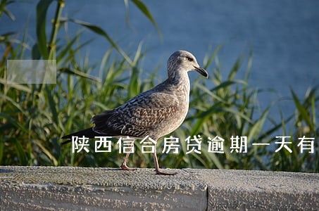 陕西信合房贷逾期一天有事没有 陕西信合房贷逾期一天有事没有