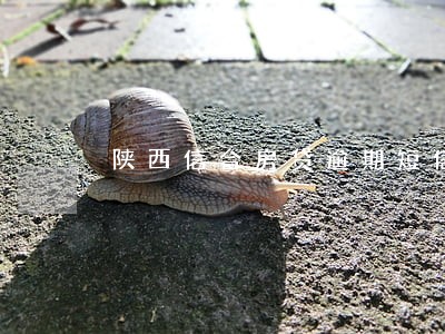 陕西信合房贷逾期短信 陕西信合房贷逾期短信