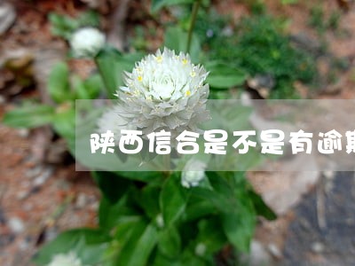 陕西信合是不是有逾期违约金 陕西信合是不是有逾期违约金
