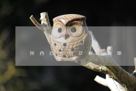陕西信合贷款利息逾期 陕西信合贷款利息逾期