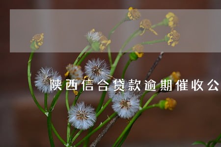 陕西信合贷款逾期催收公告 陕西信合贷款逾期催收公告