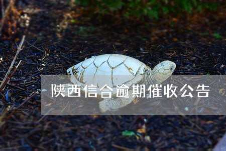 陕西信合逾期催收公告 陕西信合逾期催收公告