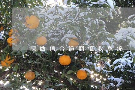 陕西信合逾期催收系统 陕西信合逾期催收系统