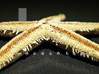 陕西信合非恶意逾期证明 陕西信合非恶意逾期证明