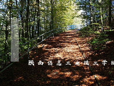 陕西信息工业技工学校诉讼 陕西信息工业技工学校诉讼